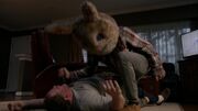 Plush.jpg