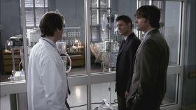 SPN 0233