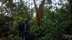 Botanischer Garten Cleveland