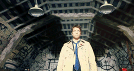 Wings-0