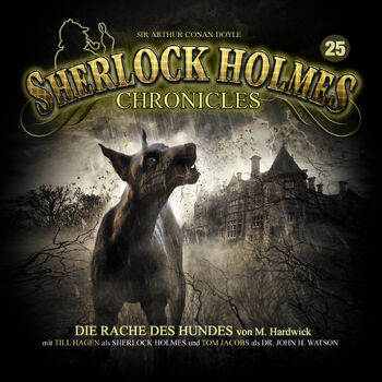 Sherlock Holmes Chronicles 25 - Zweitauflage