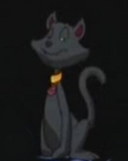Salem-2.png