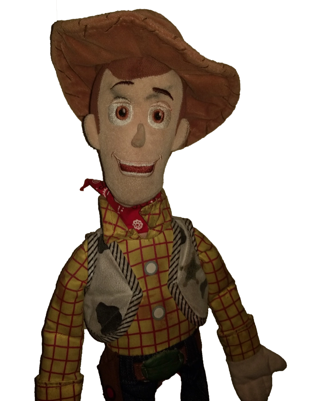 Woody Sackman Plush Wiki Fandom
