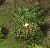 Магический тайник 1.png