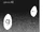 Chapter 82
