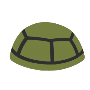 Shell | Safety Turtleverse Wiki | Fandom