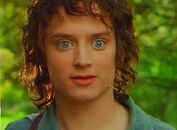 Frodo 2001