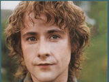 Peregrin Took