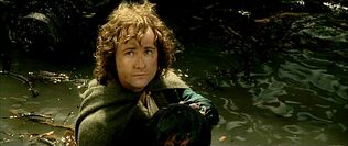 Pippin palantir.jpg