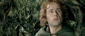 Pippin-Took-pippin-took-12389259-960-403.jpg