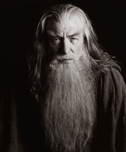 Gandalf bw