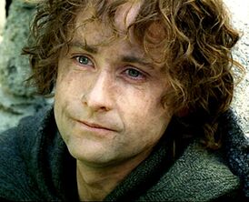 2238536-pippin sad 2.jpg
