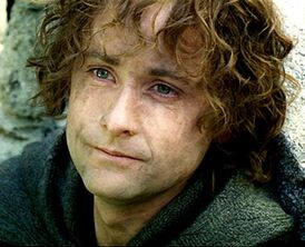 2238536-pippin sad 2