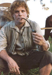 250px-Peter Jackson's Samwise Gamgee