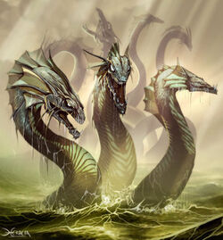 The Hydra