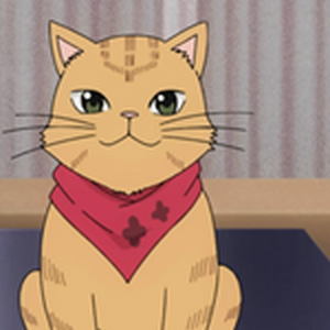 Characters Saiki Kusuo No Sai Nan Wikia Fandom Is a japanese manga series written and illustrated by shūichi asō. characters saiki kusuo no sai nan