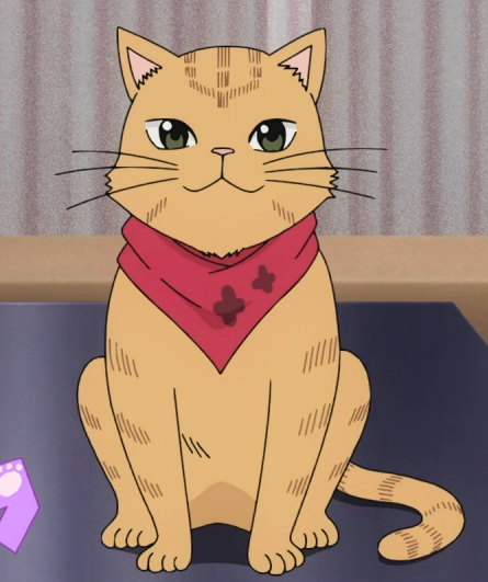 Anime Cat Of The Day on X: 