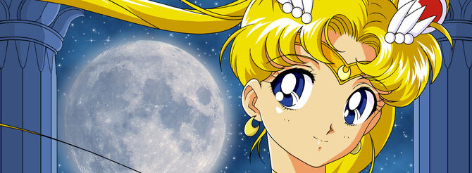 Sailor Moon Banner