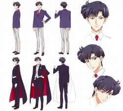 Mamoru Chiba Tuxedo Mask Crystal Sailor Moon Wiki Fandom