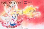 Sailor Moon and Sailor Chibi Moon on the cover of Artbook II