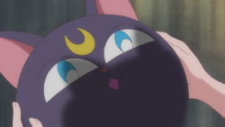 Luna P Sailor Moon Wiki Fandom
