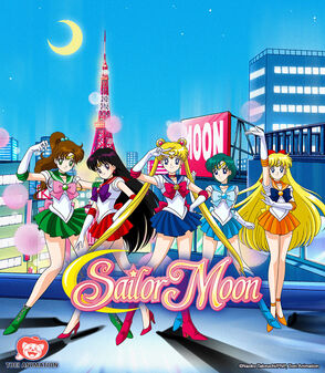 Pretty Guardian Sailor Moon Crystal Season 2 (English DVD), Sailor Moon  Wiki