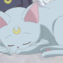 Diana Crystal Sailor Moon Wiki Fandom Sailor moon r in the manga. diana crystal sailor moon wiki fandom