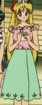Minako's outfit shortly before the attack at Tamasaburou's house