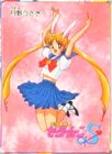 Usagi Tsukino the Bunny Girl