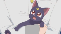 Luna Crystal Sailor Moon Wiki Fandom