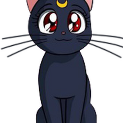 Flqty Vlovwsym Anime cat names based on anime cats. https sailormoon fandom com wiki luna anime