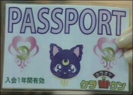 Usagi's Passport