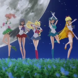 3wfyv9ka Eccjm Additional music cues from this season were released on the sailor moon music collection: https sailormoon fandom com wiki category music