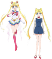 Sailor Moon (projekt Eternal)
