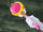 Cutie Moon Rod