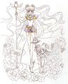 Szkic Sailor Cosmos i Sailor Chibi Chibi Moon z Materials Collection