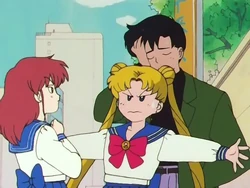 For Whom Is The White Rose The Moonlight Knight Appears Sailor Moon Wiki Fandom