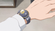 Mamoru's Communicator