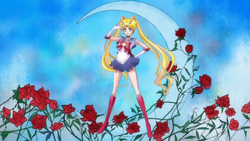 Sailor Senshi, Sailor Moon Crystal Wiki