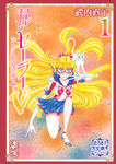 CWSV Bunkoban 1.jpg (394 KB) Cover art for Vol. 1, Bunkoban.