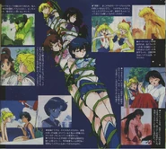 Sailor Scout Memories