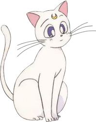 White cat girl  starryai
