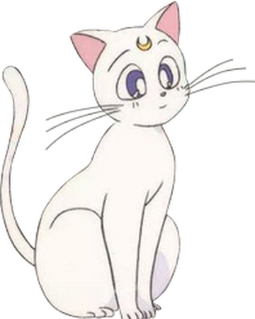 Artemis Anime Sailor Moon Wiki Fandom