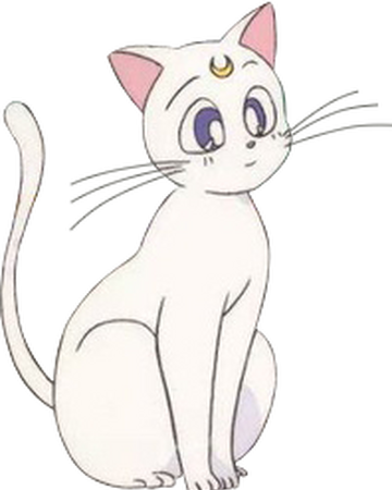 Artemis Anime Sailor Moon Wiki Fandom Artemis Anime Sailor Moon Wiki Fandom