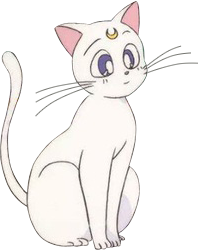 Artemis Anime Sailor Moon Wiki Fandom