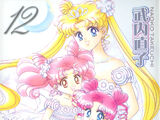 Pretty Guardian Sailor Moon (Volume 12)/Shinsouban