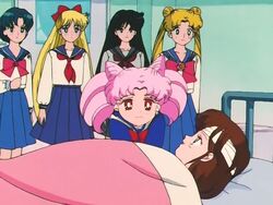 Momoko Momohara Anime Sailor Moon Wiki Fandom