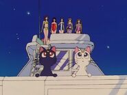 The Sailor Guardians, Luna and Artemis E67