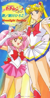 Moonlight Destiny Sailor Moon Wiki Fandom