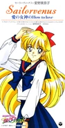 Sailor Venus - The Goddess of Love's 'How to Love'